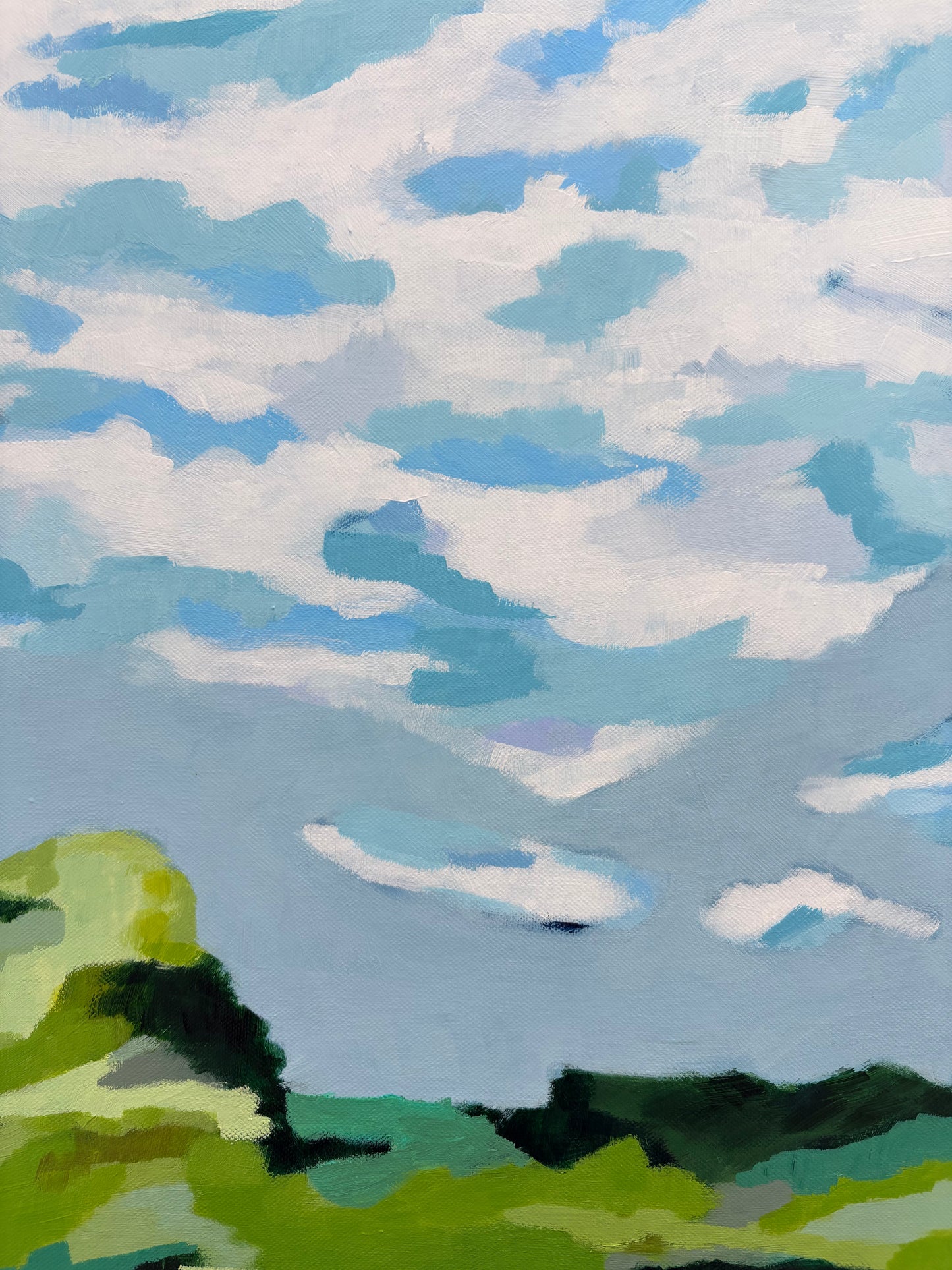 Paysages continus VIII - Continuous Landscapes VIII